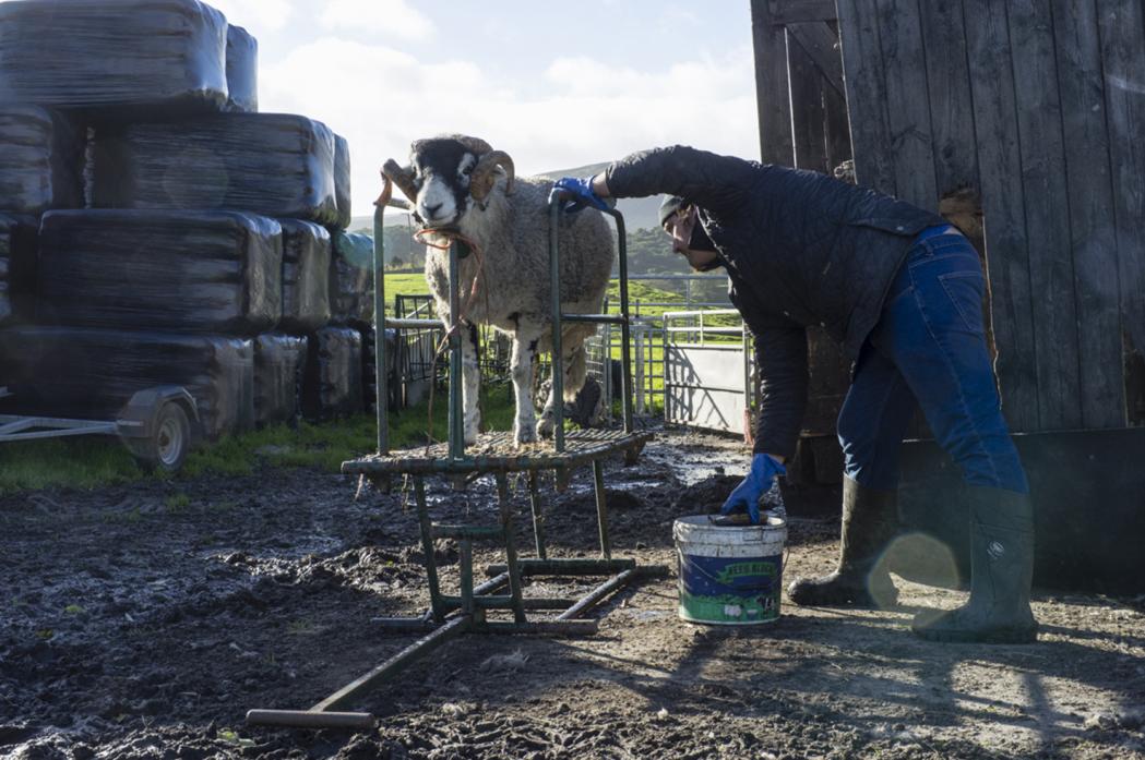 KNOWLEDGE BANK: Upper dale farmers’ nous, built up over generations, should not be sidetracked or ignored, argues Ewan Allinson Photo: Louise Taylor