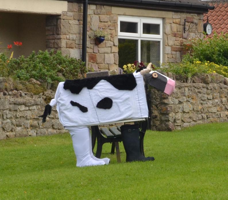 PULL THE UDDER ONE: A roaming friesian on the green, one of the scarecrow entries