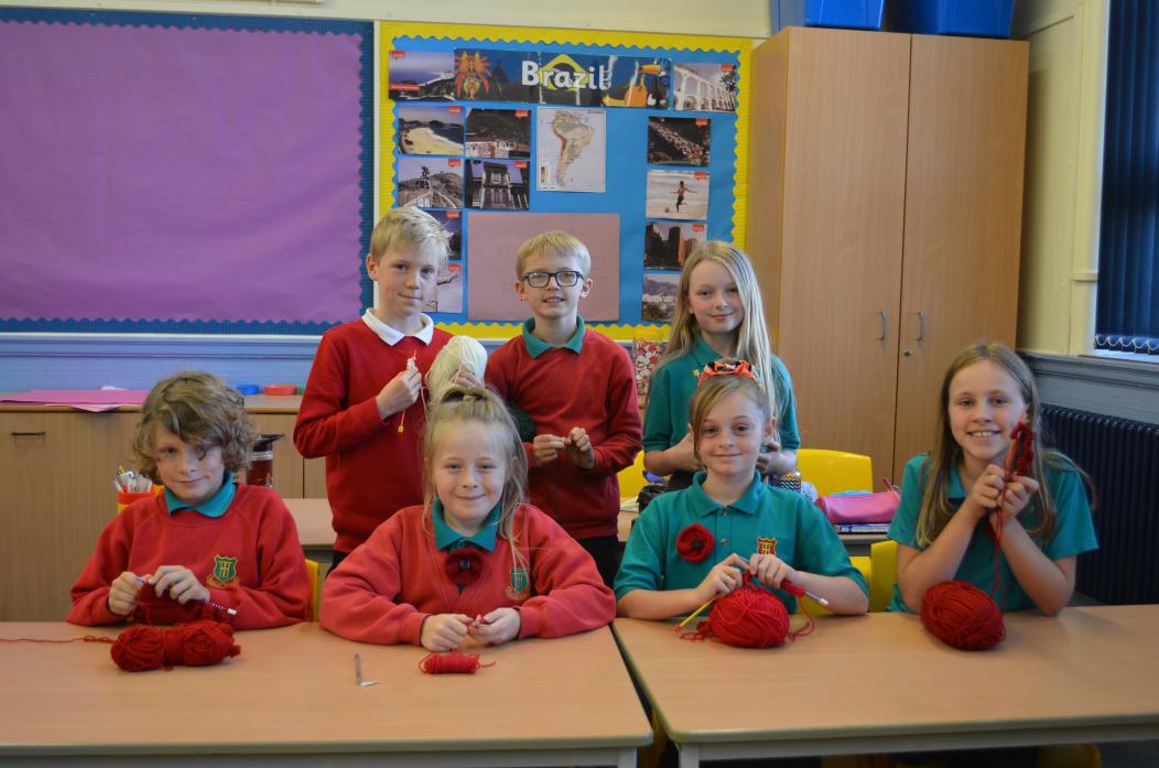 LEST WE FORGET: Year five pupils at Toft Hill Primary School have been learning how to knit ahead of Remembrance Day