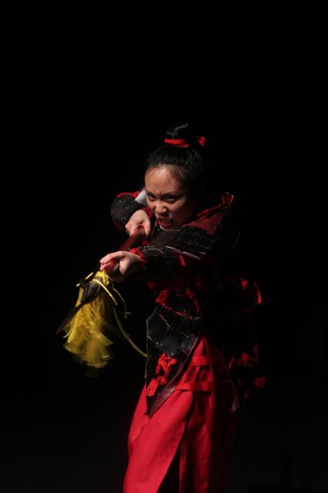 FIGHTER AND WARRIOR: Michelle Yim as Mulan in a stage show which is coming to Barnard Castle