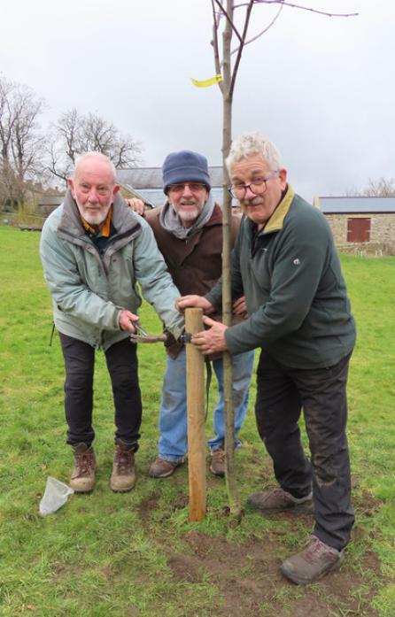 GOD SAVE THE QUEEN: Chris Gillings, Terry Wilson and David Hutchinson completing the planting of Mickleton’s Platinum Jubilee tree in the Village Hall field