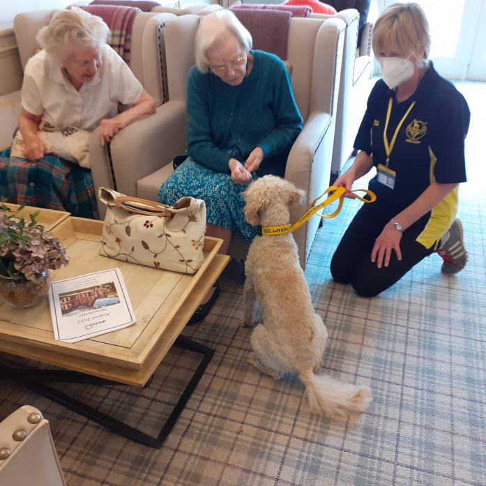 BEST FRIEND: Alfie and his owner, Jacquie Warner, during a session at Barnard Castle’s Manor House care home