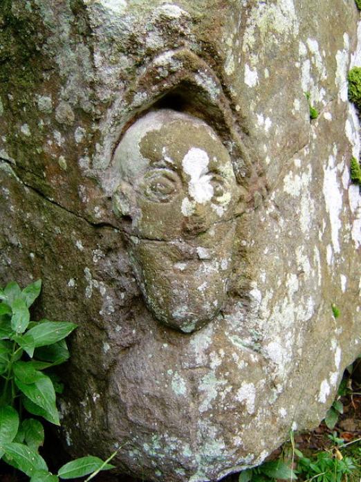 DEEPDALE WONDER: The stone carved head can be seen clearly - if you know where to look