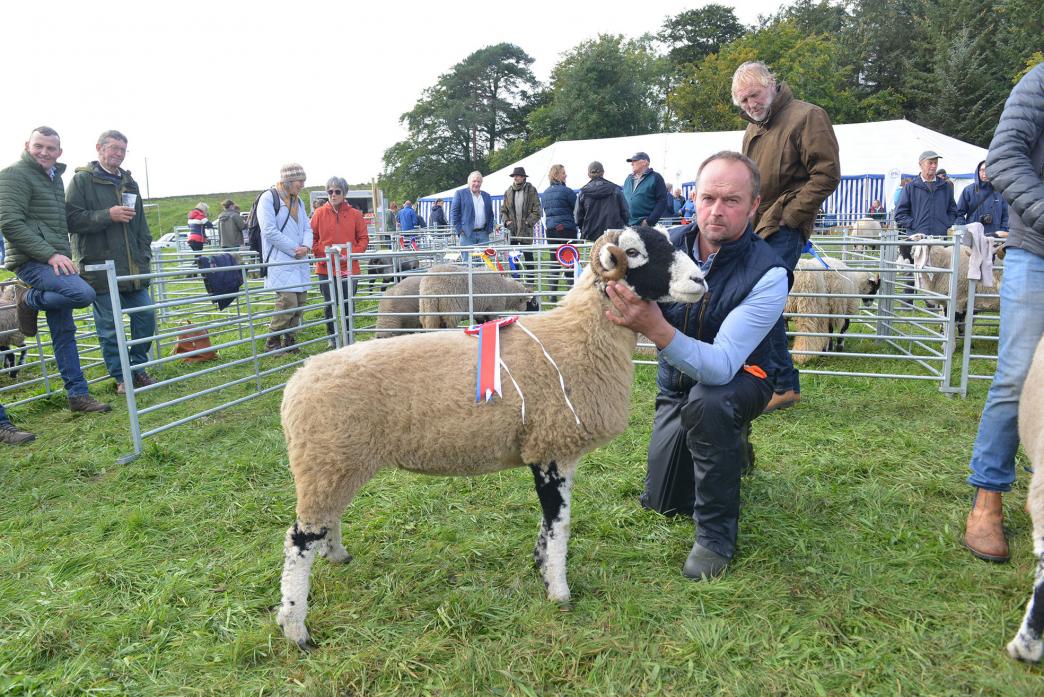 BEST IN SHOW: Robert Hutchinson’s ewe was crowned supreme sheep champion after it dominated the open classes				 	                               TM pic