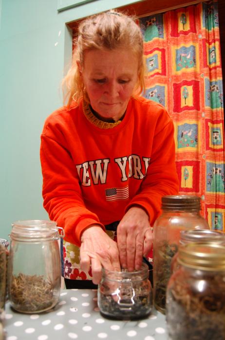 WORKING WITH NATURE: Suzanne Thomas using the fruits of the harvest showing how to make plant oils and balms at Startforth Community Centre      TM pic