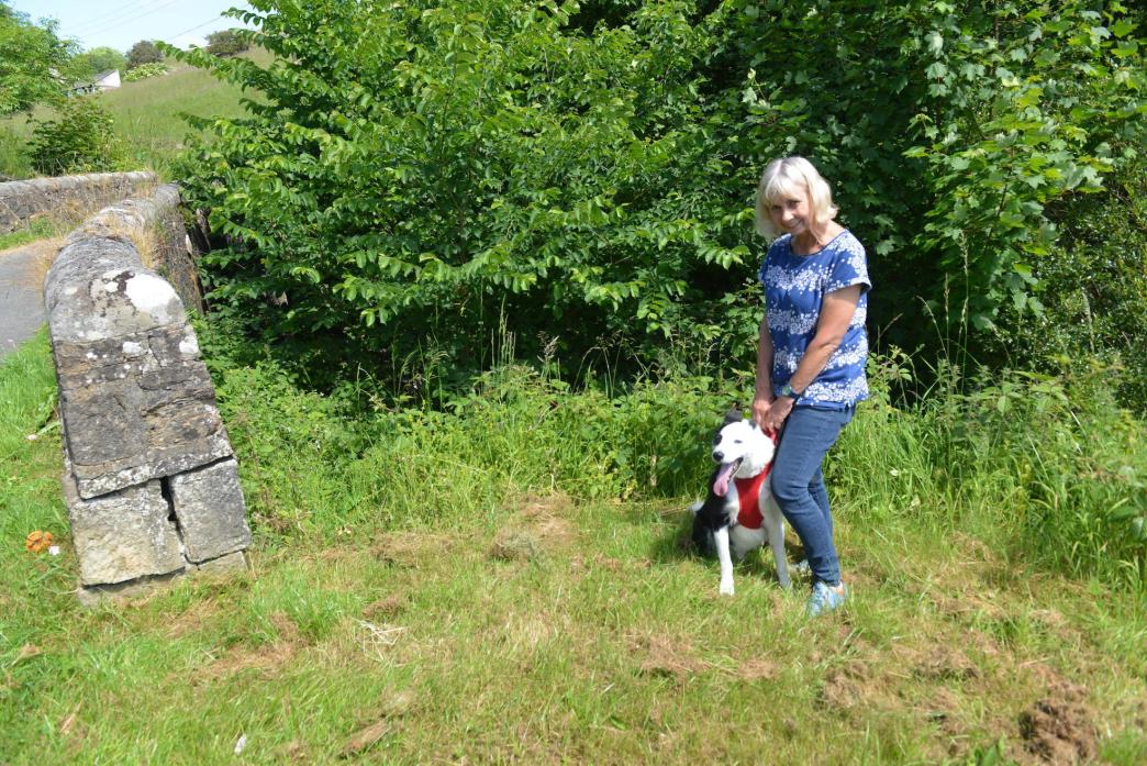 HIDDEN WATER: Middleton-in-Teesdale resident Anne Dauber with her dog Finn on the bank of Newbiggin Beck.  Raby Estate fears that by cutting back the vegetation along the path, people will be encouraged into the water and to light campfires TM pic