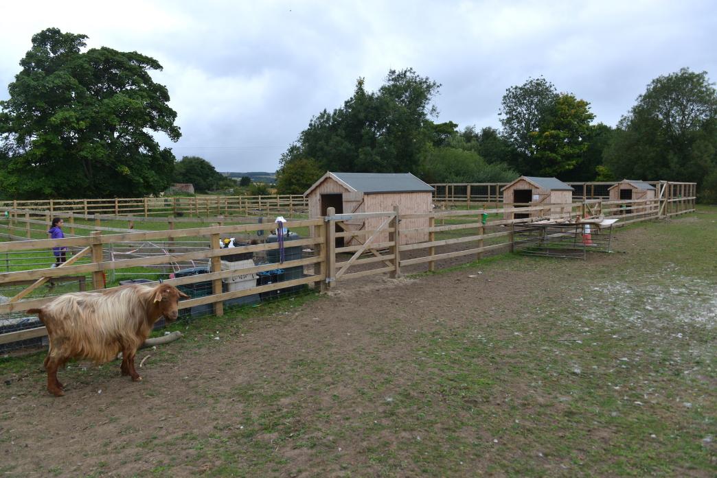 NEW HOME: The paddocks which form part of the new Wetheriggs Animal Rescue and Conservation site at Ravensworth