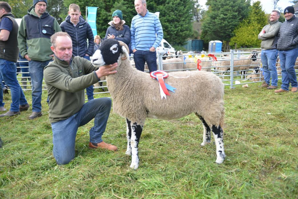 BEST IN SHOW: Robert Hutchinson’s gimmer shearling was crowned supreme champion at Langdon Beck Show							             TM pic