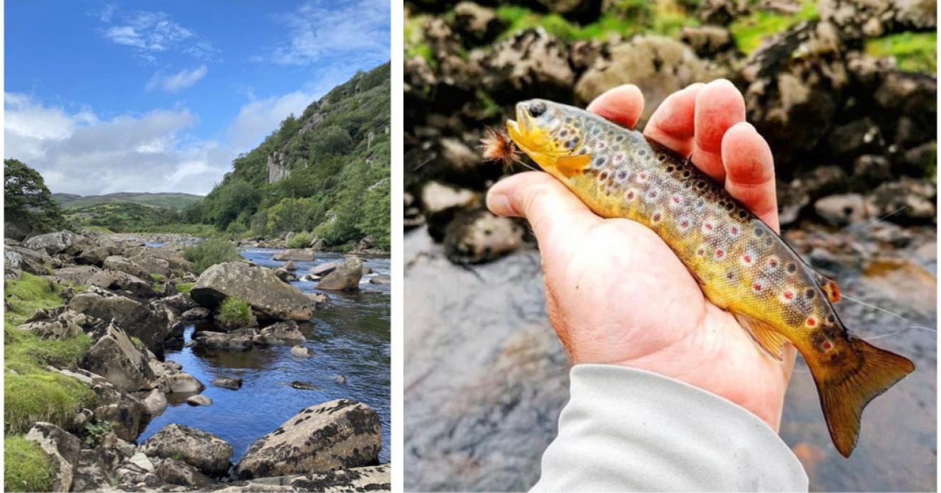 CATCH  & RELEASE: Brown trout  can offer exciting fishing