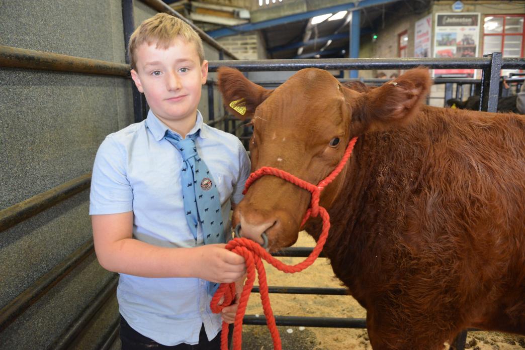 JUST CHAMPION: Seth Pattinson proudly shows off his Limousin cross bullock which won the young farmers’ summer finishing competition organised by Middleton-in-Teesdale Auction Mart. Seth was one of 15 young farmers to take charge of a calf at the spring s