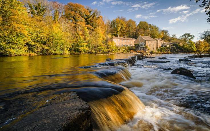 barnard-castle-angling-club-gives-up-water-to-cut-costs-country-life