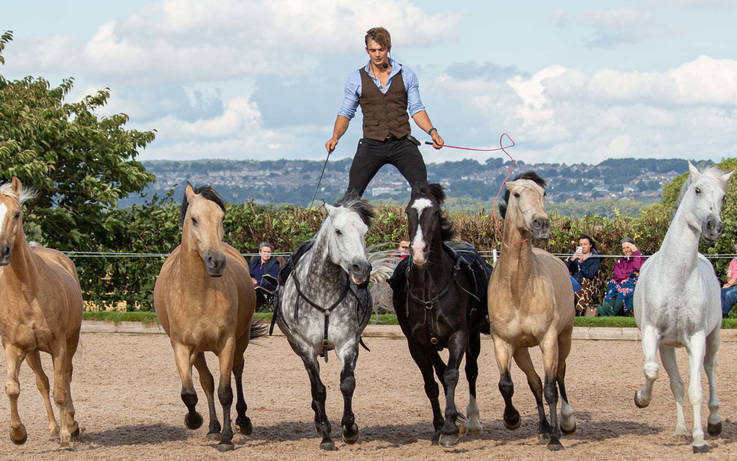 TV horse stunt rider wows with a theatrical display Country Life