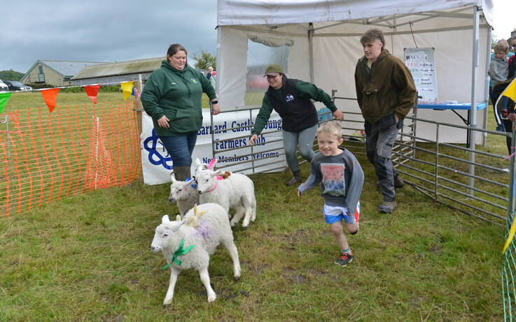 Lamb National is  a bleating success