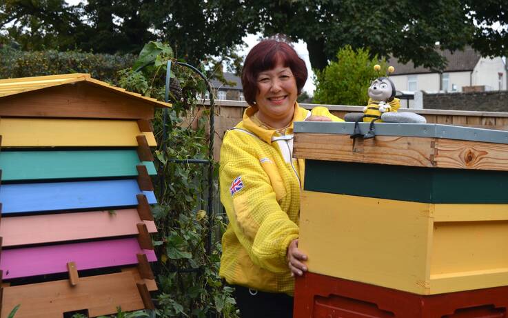 ‘Stung into action to  do my bit for the bees’