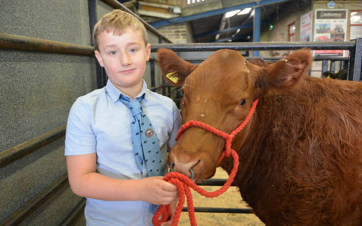 Young farmers finish in fine style