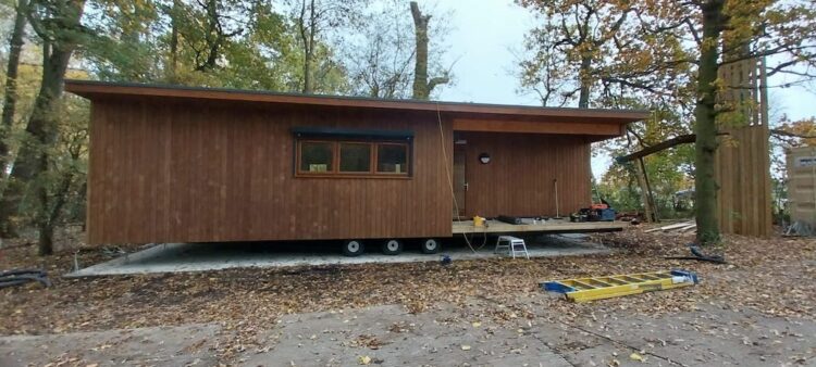 log cabin in clearing
