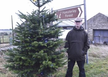 HIGH OLD TIME: At 1,154ft, is Woodland’s community Christmas tree the highest in County Durham? Simon Land is posing the question
