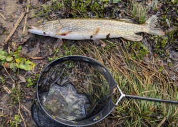 CHANGING SEASONS: Andrew enjoyed a winter adventure along the Tees