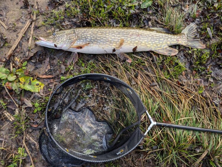 CHANGING SEASONS: Andrew enjoyed a winter adventure along the Tees