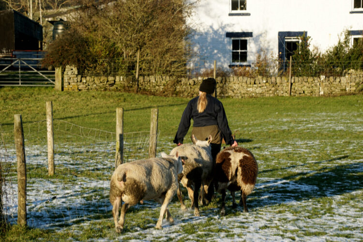 FOUR SEASONS: Elizabeth with the winter feed