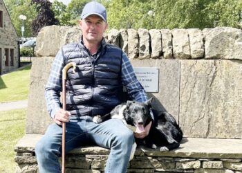 Sheepdog sells for record price at Skipton