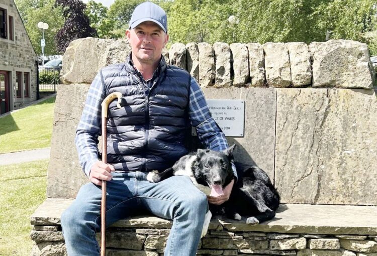 Sheepdog sells for record price at Skipton