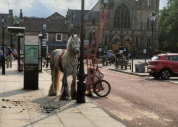Call for dedicated Barnard Castle police officer