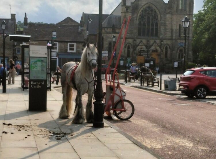 Call for dedicated Barnard Castle police officer