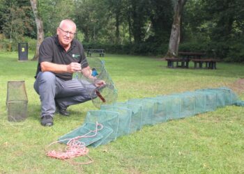 Poachers target River Tees – people urged to stay alert