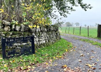 Two women admit neglecting 41 animals