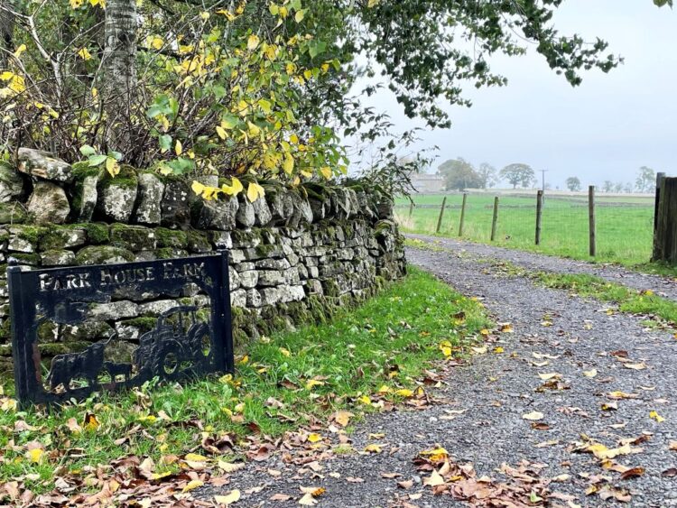 Two women admit neglecting 41 animals