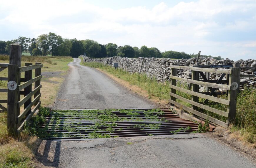 Driven to distraction by state&hellip;
