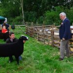 Good show for Teesdale farmers at Brough
