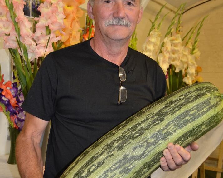 Dave’s bumper crop of trophies&hellip;