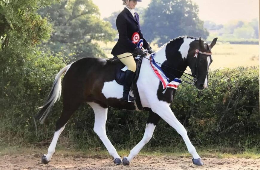 Charlotte rides to glory as&hellip;