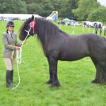 Familiar faces take honours at Bowes