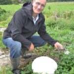 Just look at this whopping puffball
