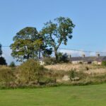 MP Helen Goodman questions legality of village…