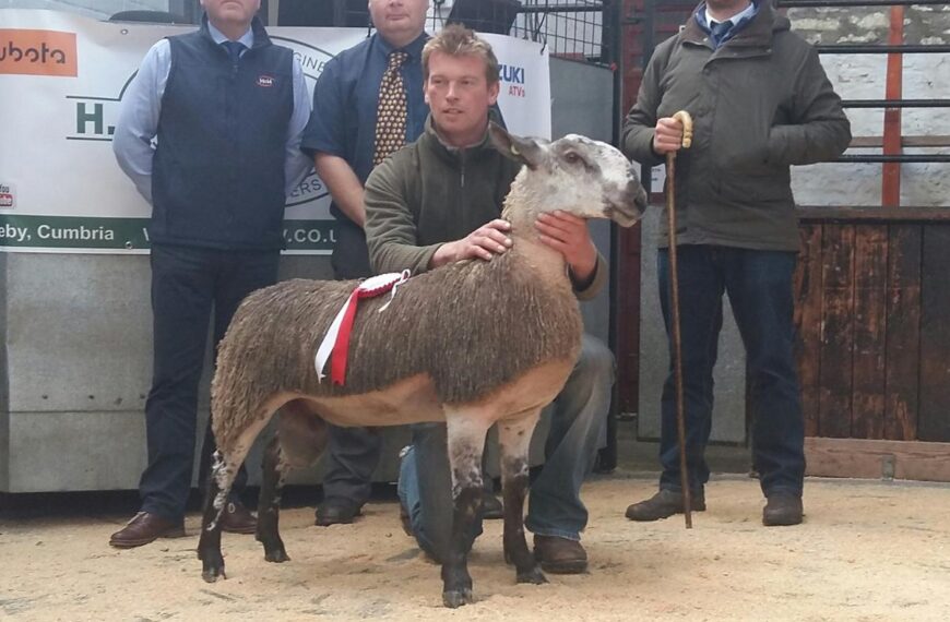 Barningham ram lamb takes top&hellip;