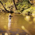 Event to showcase the Tees as a…