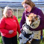 Tears fall as ageing foxes are removed&hellip;