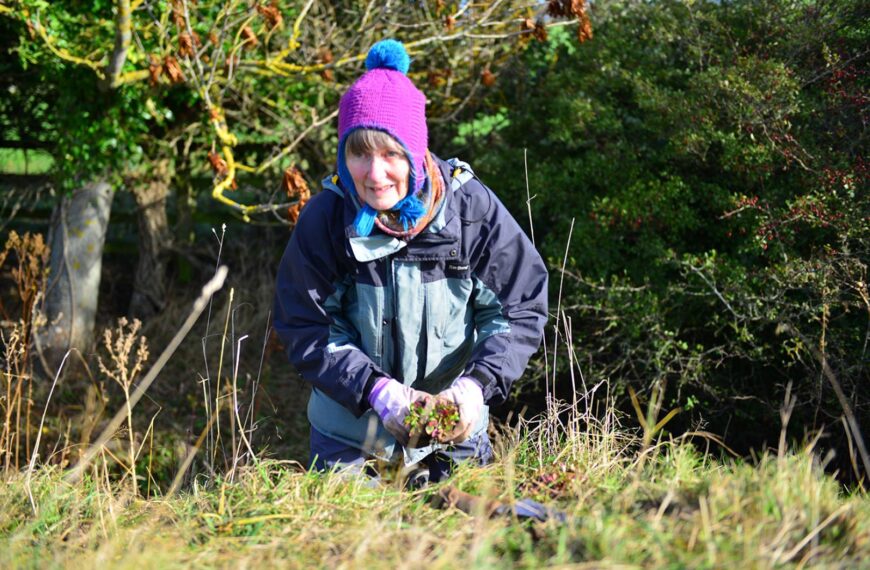 Volunteers dig in for Barnard Castle haymeadow
