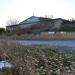 Lidl supermarket planned for outskirts of Barnard…