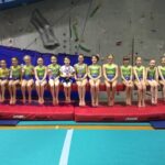 Young Teesdale gymnasts celebrate medal success