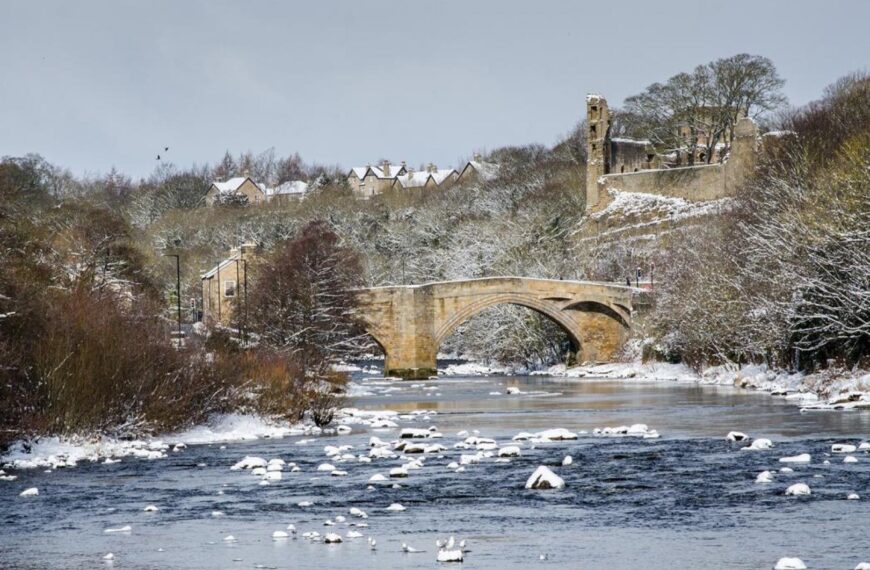 Fishing the Tees: Like salmon,&hellip;