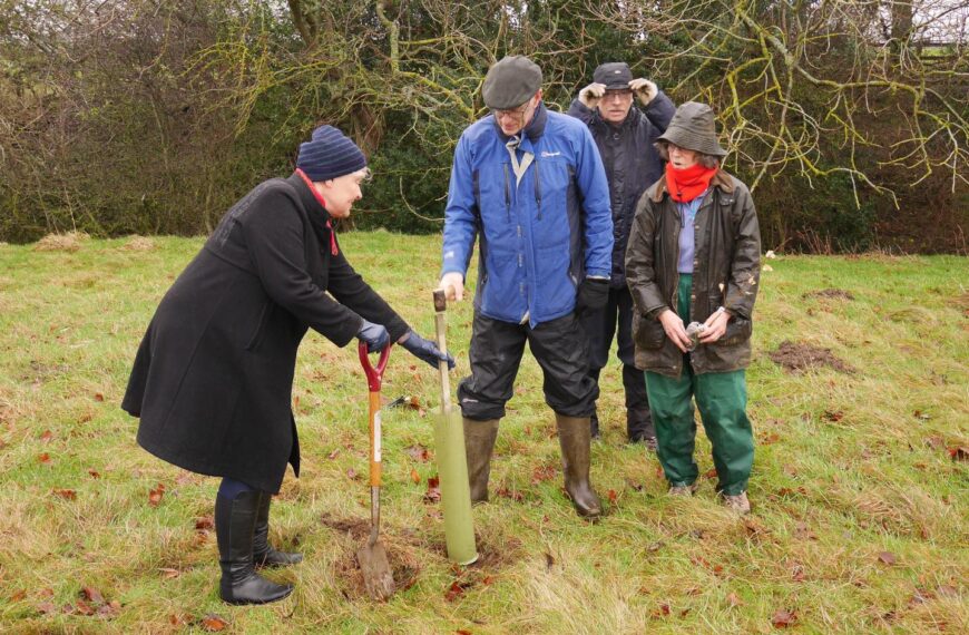 MP Helen’s tree-mendous effort