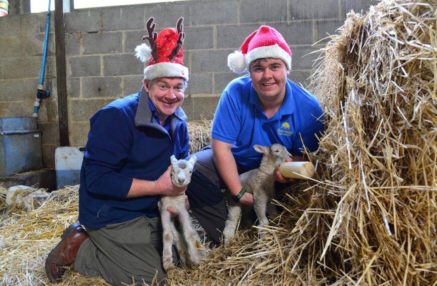 Ewe must be joking…. Special&hellip;