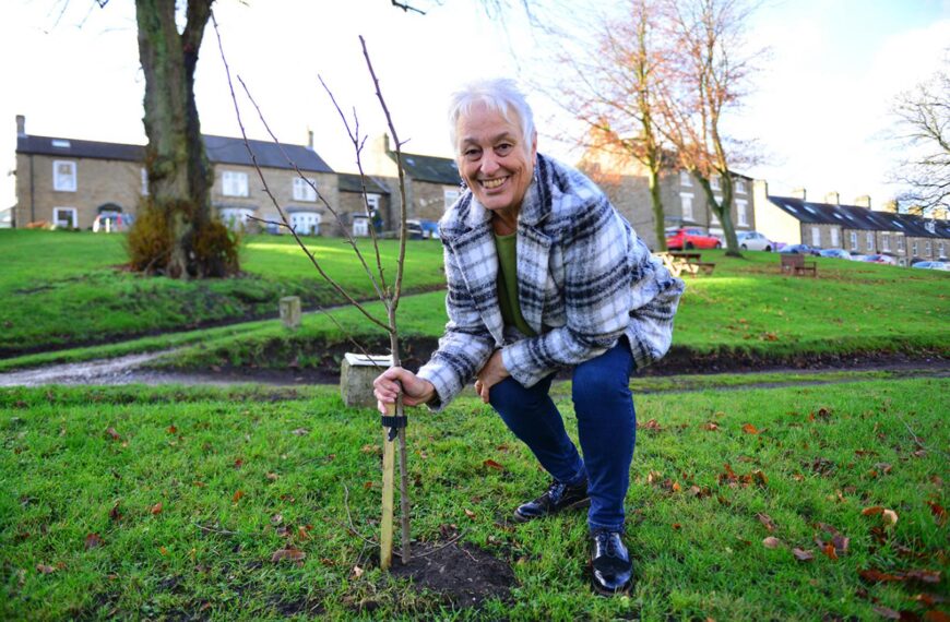 Middleton-in-Bloom group plants crab apples&hellip;