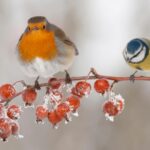 Durham Wildlife Trust’s plea to help wildlife&hellip;