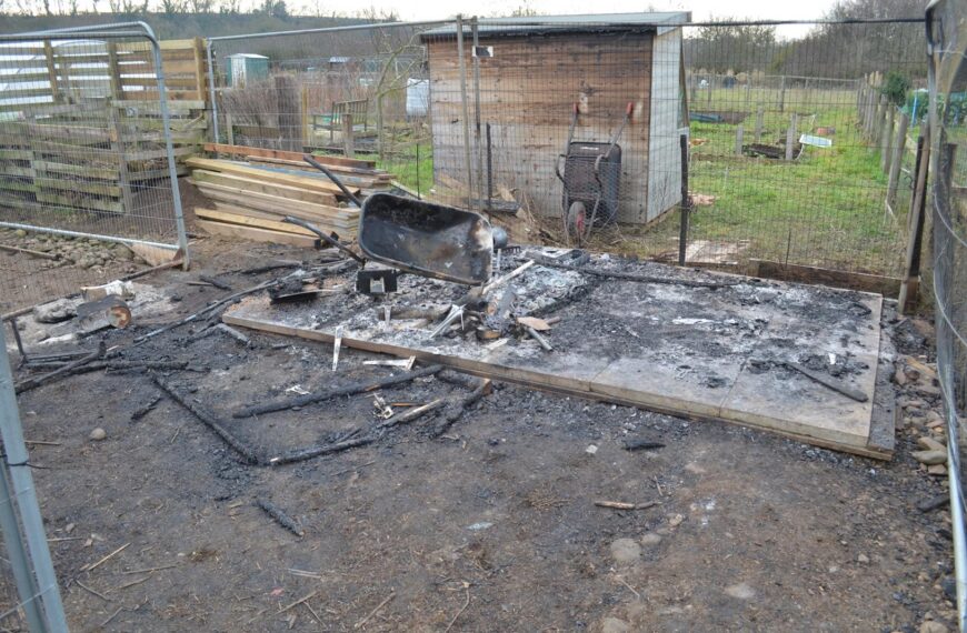 Reward for information on blaze&hellip;